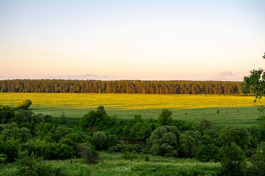 Fields and forest lit by the sun.