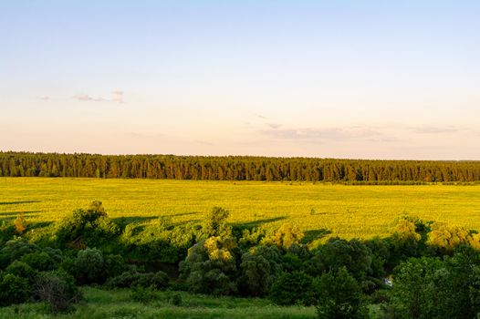 River, trees and fields in the afternoon sun.