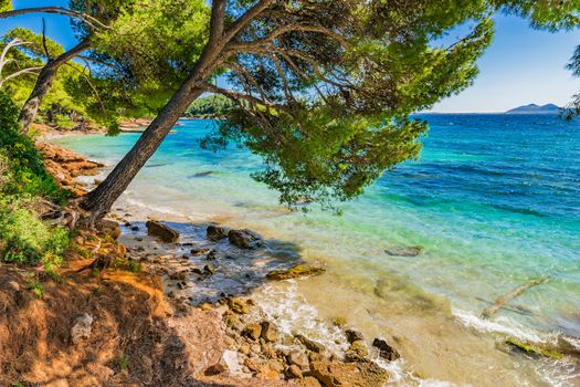 View of bay beach of Platja de Formentor, idyllic seaside on Mallorca, Spain Mediterranean Sea