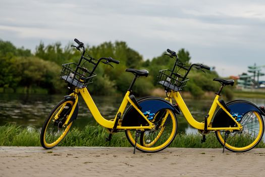 Two yellow city bikes by the lake.