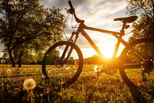 Sports bike in the field at sunset