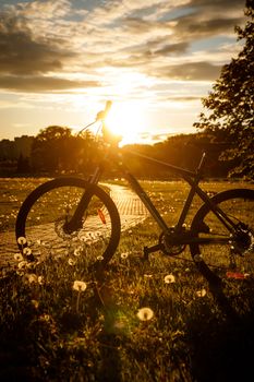 Sports bike in the field at sunset