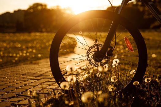 Bicycle wheel in the field at sunset. Close-up of a hydraulic brake disc.