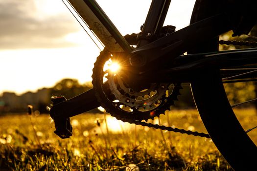 Pedals on the bike. Close-up speed control asterisk at sunset.