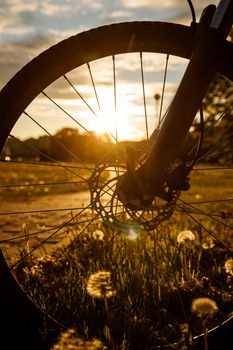 Bicycle wheel in the field at sunset. Close-up of a hydraulic brake disc.