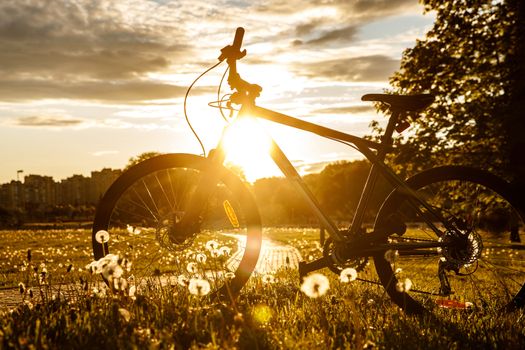 Sports bike in the field at sunset