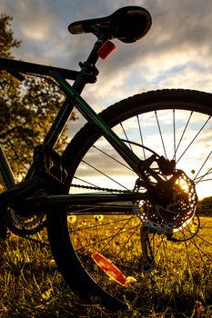 Bicycle rear wheel in the field at sunset. Close-up of a hydraulic brake disc.