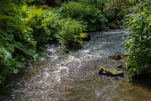 Water running down a river