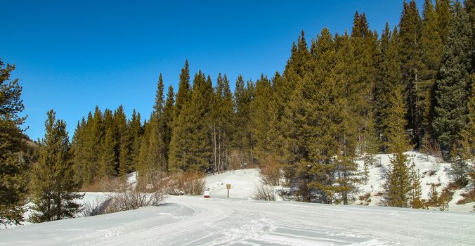 Snow mobile trails near Camp Hale, Colorado ready to be used.  Cold winter day in the forest.