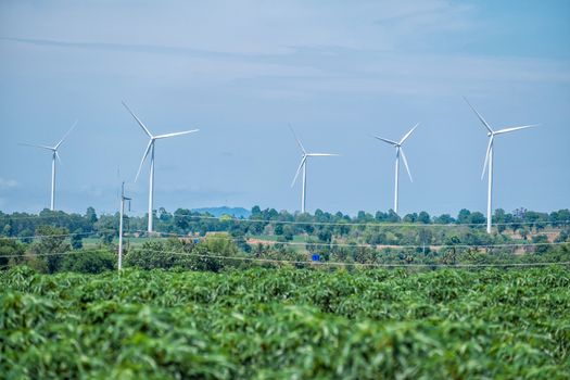 Wind turbine power at daylight 