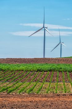 Wind turbine power at daylight 