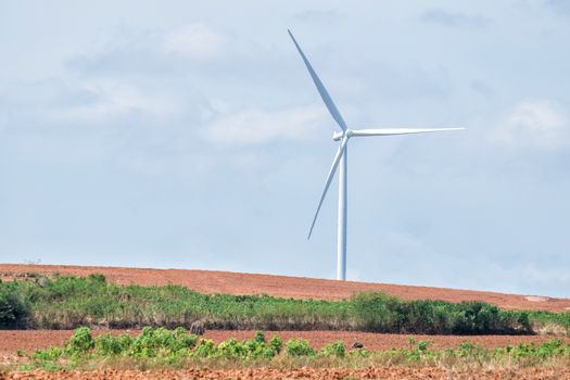 Wind turbine power at daylight 