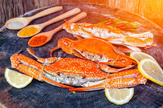 jumbo crab and spices herb on dark background