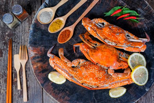 jumbo crab and spices herb on dark background