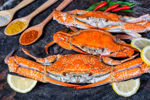 Sqide,jumbo crab and shrimp on dark background