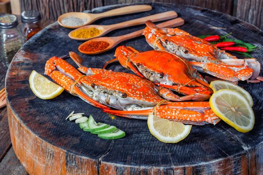 jumbo crab and spices herb on dark background