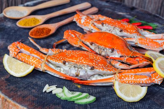 jumbo crab and spices herb on dark background