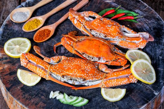 jumbo crab and spices herb on dark background