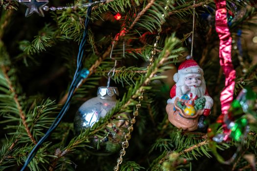 Various colorful Christmas decorations hanged spruce branches.