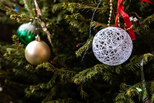 Various colorful Christmas decorations hanged spruce branches.