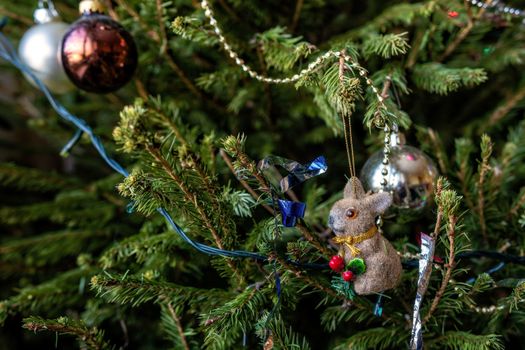 Various colorful Christmas decorations hanged spruce branches.