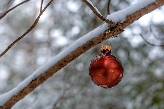Red Christmas ball on a snow covered wood branch.