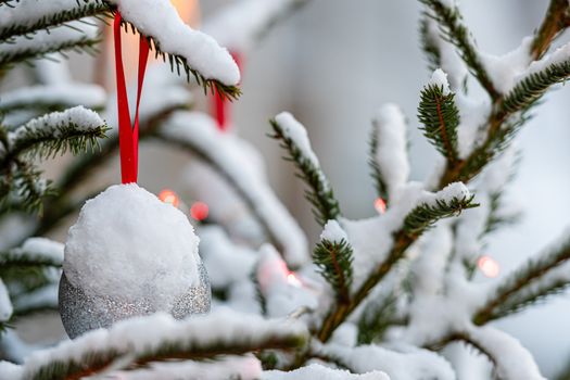 Colorful decorations on snow-covered Christmas tree branches - image