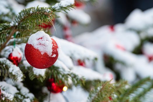 Colorful decorations on snow-covered Christmas tree branches - image