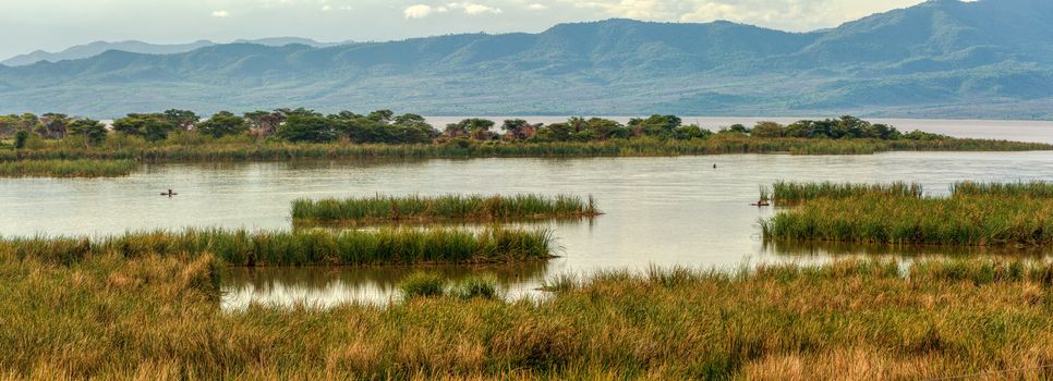 Lake Chamo landscape in the Southern Nations, Nationalities, and Peoples Region of southern Ethiopia. Africa Wilderness