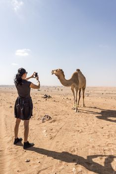 Woman taking photographs of Camel in the desert