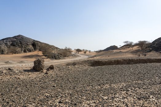 A track in Wadi Al Ghail between the mountains, Ras al Khaimah Emirates, United Arab Emirates