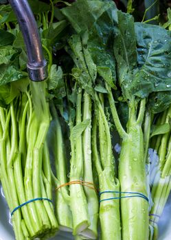 Thai Morning glory and Chinese Kale wash in water