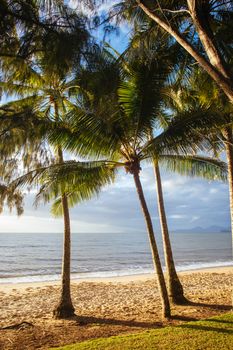 The famous idyllic beachfront of Palm Cove at sunrise in Queensland, Australia