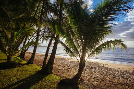 The famous idyllic beachfront of Palm Cove at sunrise in Queensland, Australia