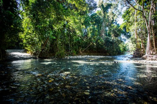 Cape Tribulation Rd which is 4WD only, crosses a river near Cape Tribulation in the Daintree, Queensland, Australia