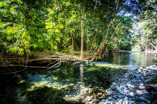 A 4WD only road across a river near Cape Tribulation in the Daintree, Queensland, Australia