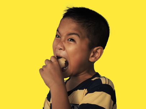 The boy eats hot dog Isolated on a yellow background.
Embed clipping path.
Junk food concept.