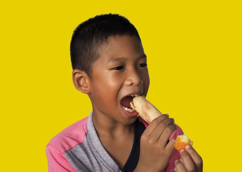 The boy eats hot dog Happily Isolated on a yellow background.
Embed clipping path.
Junk food concept.