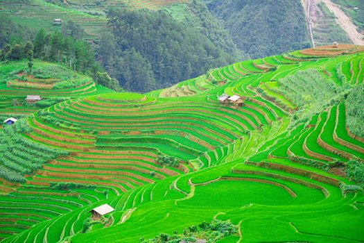 Beautiful terraced rice paddy field and small wooden hut in the middle of the rice field mountain landscape in Mu Cang Chai and SAPA VIETNAM Sunlight and flare background concept.