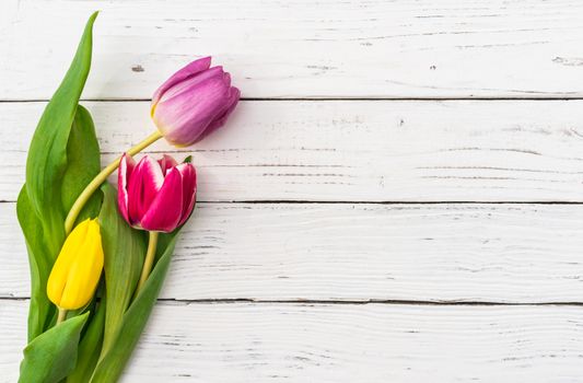 Bouquet of flowers with multi-colored tulips on white wooden background and copy space