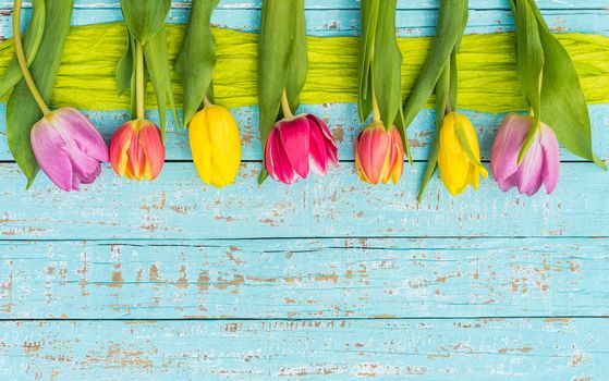 Colorful spring flowers frame on turquoise wood with copy space