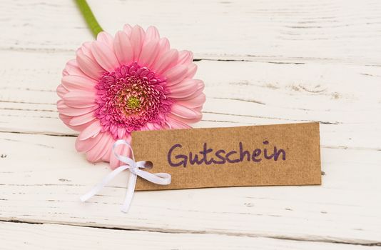 Pink gerbera daisy flower with tag and german word, Gutschein, means voucher or coupon