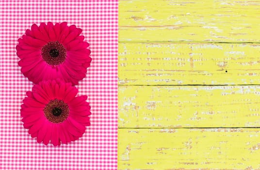 Fresh pink gerbera daisy flowers decoration on yellow colored wood for a greeting or gift card