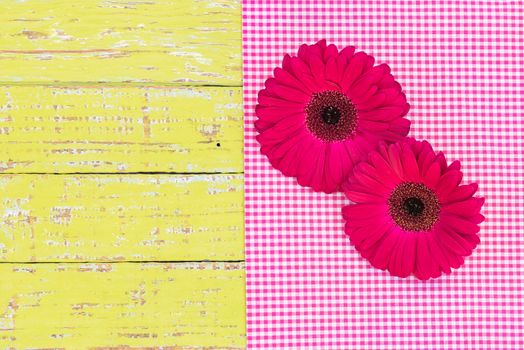 Two pink gerbera daisy flower heads on pink fabric and yellow wood, top view, copy space.