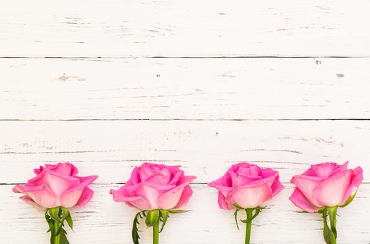 Beautiful pink rose flowers frame on white wooden background with copy space