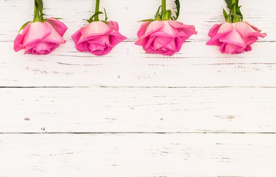 Beautiful fresh pink roses on white wooden background with copy space