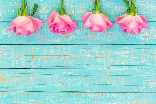 Pink roses frame on turquoise wooden background with copy space