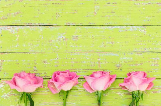 Romantic blooming pink rose flowers arrangement, on green wood with copy space