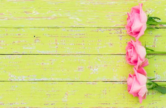Romantic pink roses decoration on colored wooden background with copy space