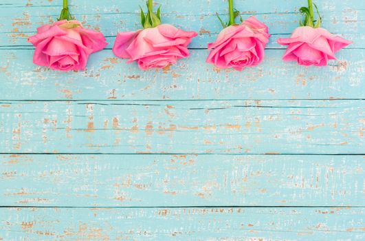 Pink roses frame on turquoise wooden background with copy space